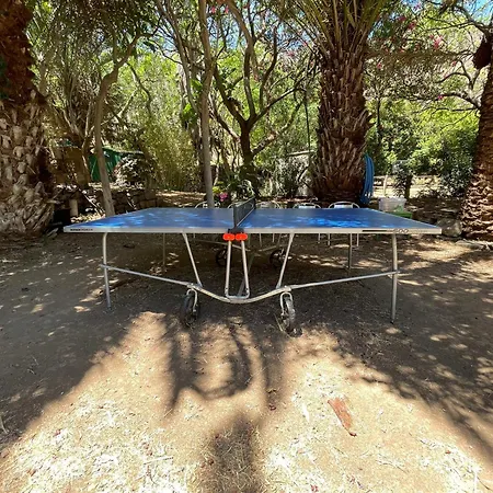 Holiday home Fuer 13 Personenund 2 In Agaete *