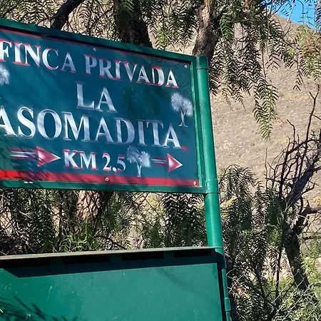 Fuer 13 Personenund 2 In Agaete Holiday home Agaete (Gran Canaria)