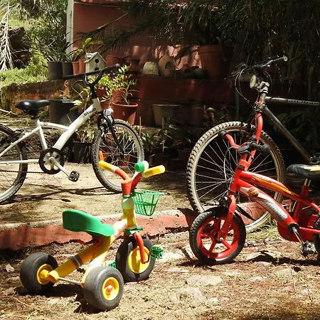 Holiday home Fuer 13 Personenund 2 In Agaete